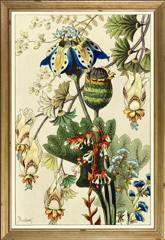 Berthaud Botanicals P0044-05877