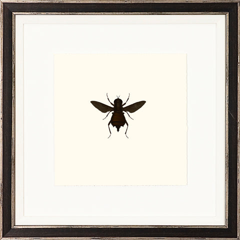 Bees P0196-05679