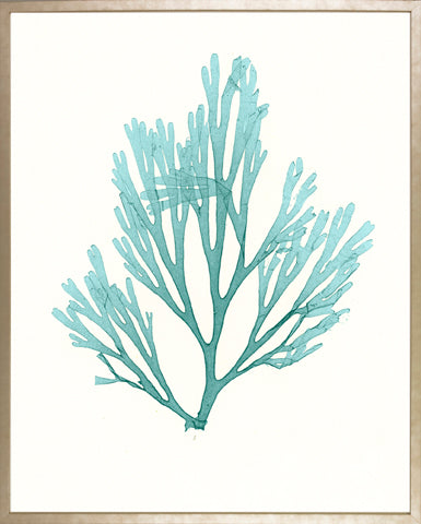 Azure Seaweed - Large P0317-05878