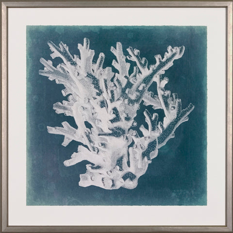 Azure Coral P0322-05870