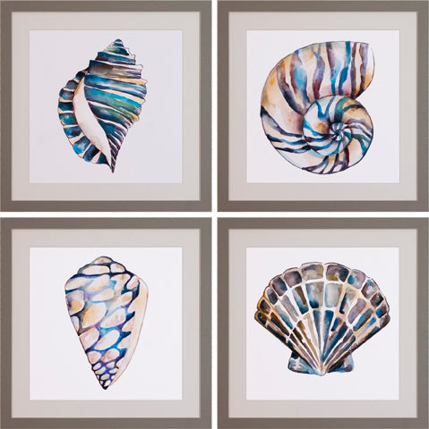 Aquarelle Shells P0522-06072