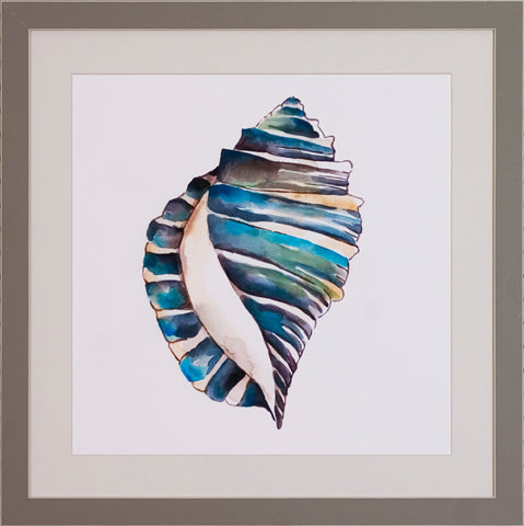 Aquarelle Shells P0522-06072