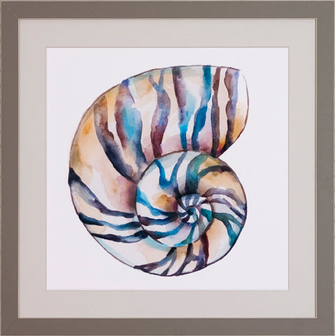 Aquarelle Shells P0522-06072