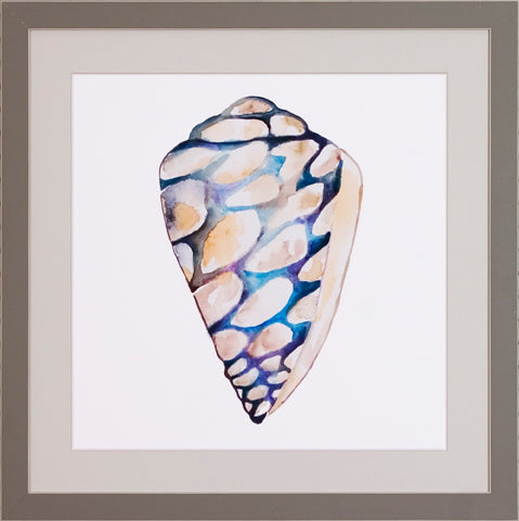 Aquarelle Shells P0522-06072