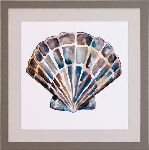 Aquarelle Shells P0522-06072