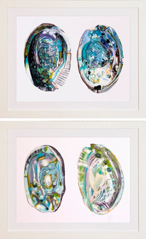 Abalone Shells P0526-06095
