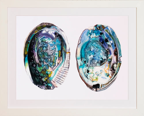 Abalone Shells P0526-06095